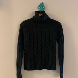 The Limited Turtle Neck Sweater